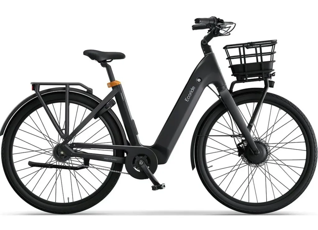 Ecoride ambassador 4