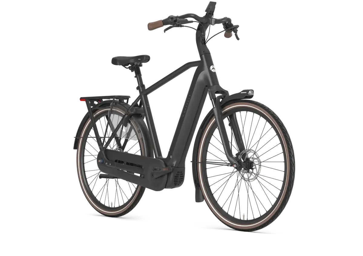 Gazelle Arroyo C5 Elite - Bild 2