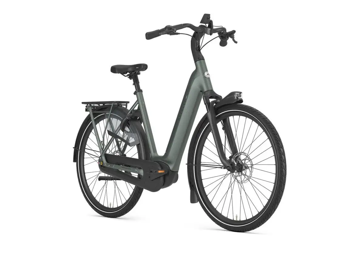 Gazelle Arroyo C8+ Elite - Bild 2