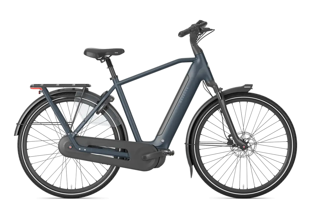 Gazelle Arroyo C8 Elite - Bild 1
