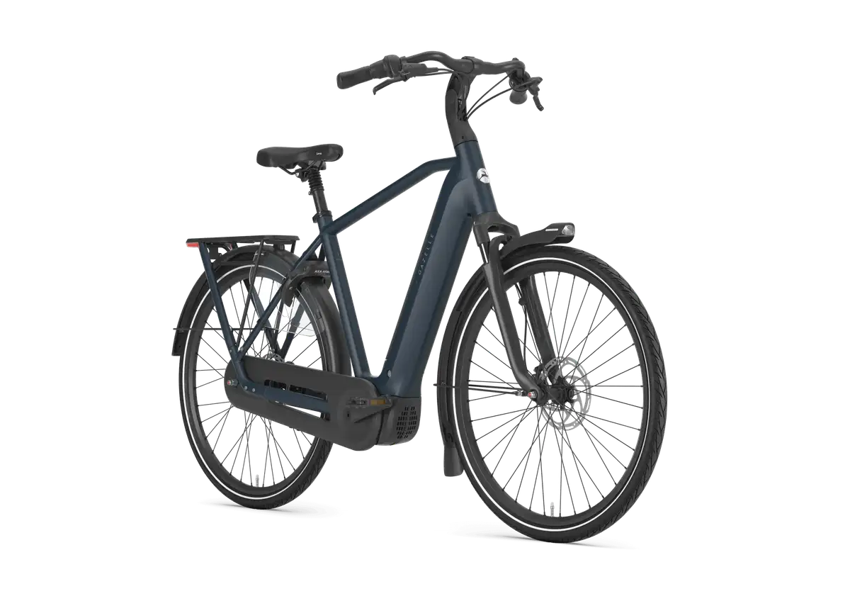 Gazelle Arroyo C8 Elite - Bild 2