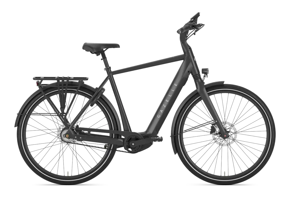 Gazelle Chamonix C5 - Bild 1