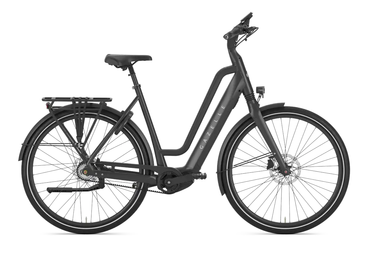 Gazelle Chamonix C5 - Bild 1
