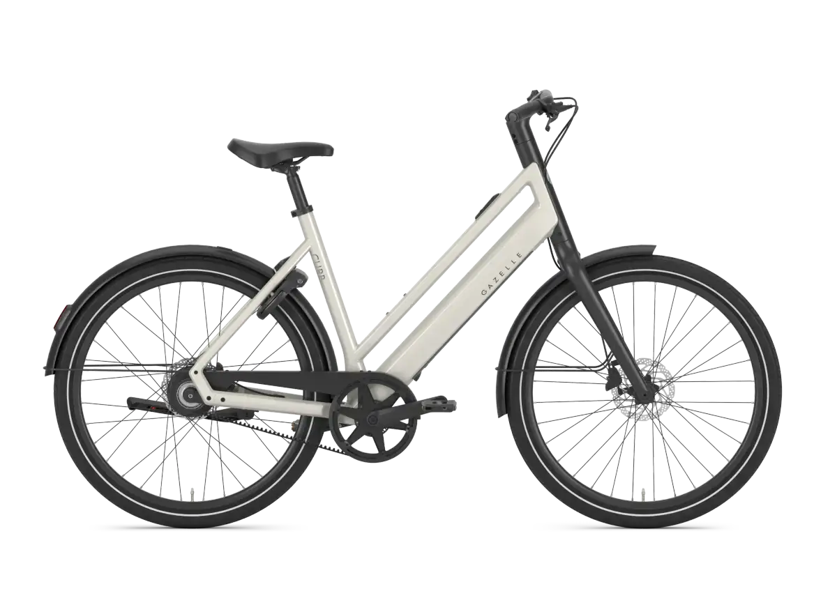 Gazelle Curb C1 - Bild 1