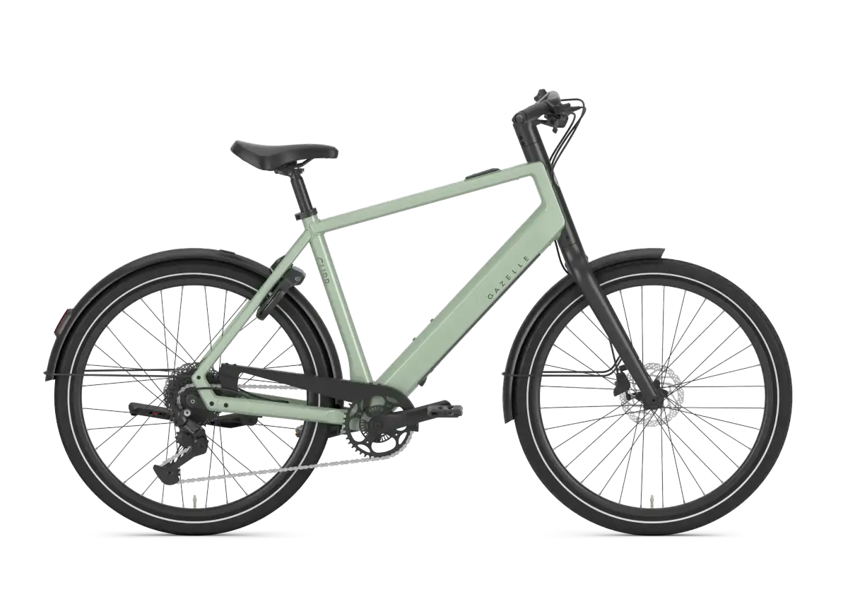 Gazelle Curb T9 - Bild 1