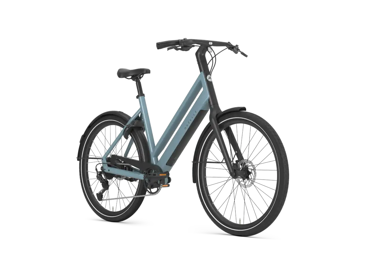 Gazelle Curb T9 - Bild 2