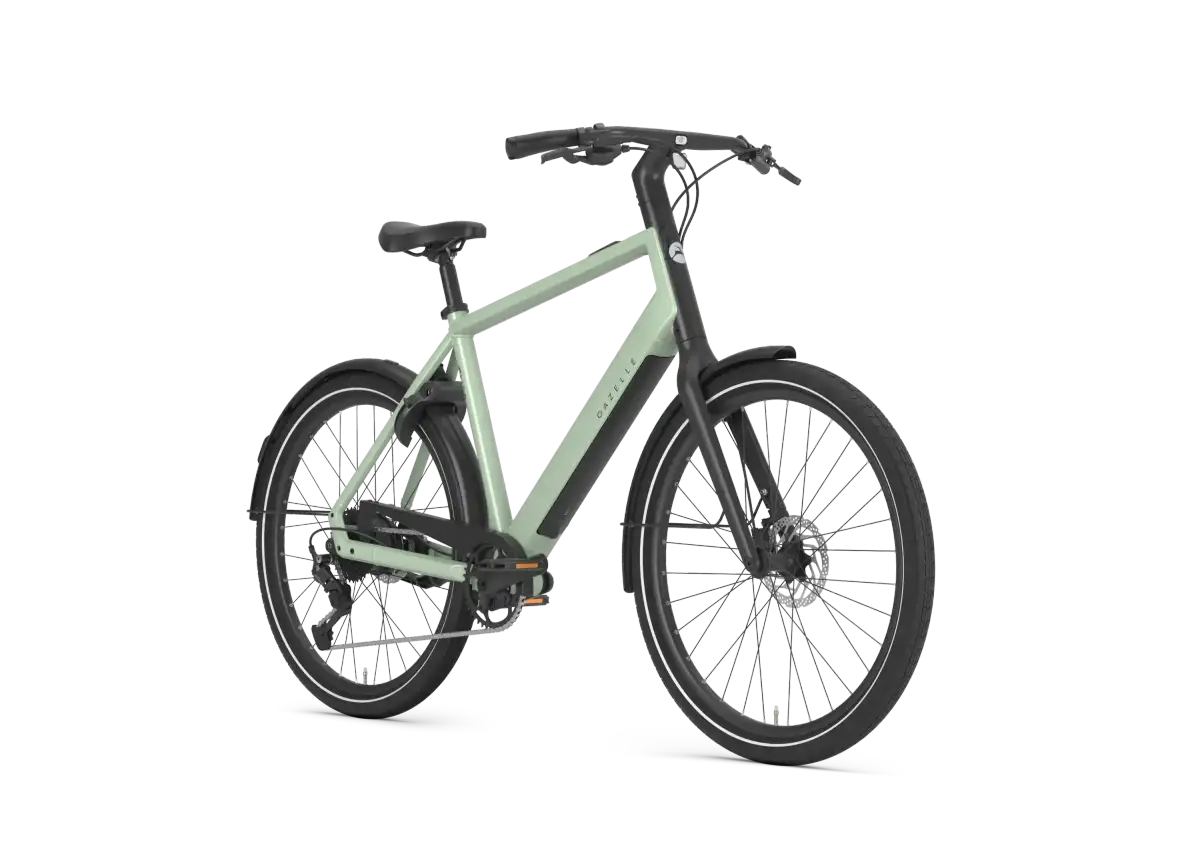 Gazelle Curb T9 - Bild 2
