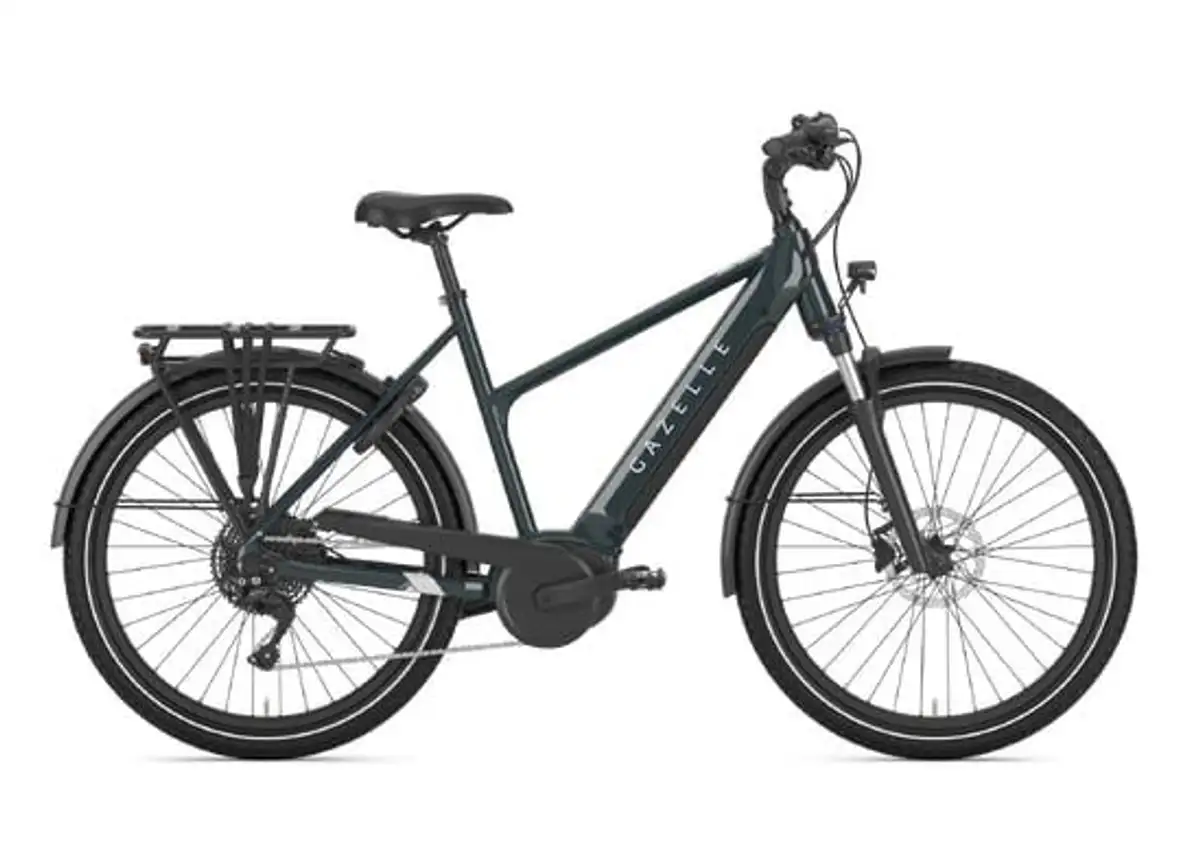 Gazelle Medeo T10 - Bild 1