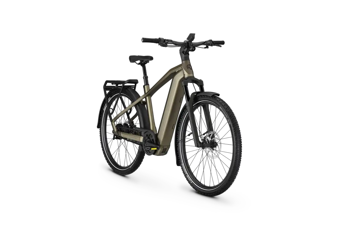 Kalkhoff ENTICE 5+ ADVANCE BELT - Bild 2