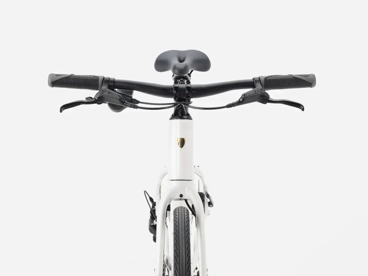 Trek FX 2 Midstep - Bild 4