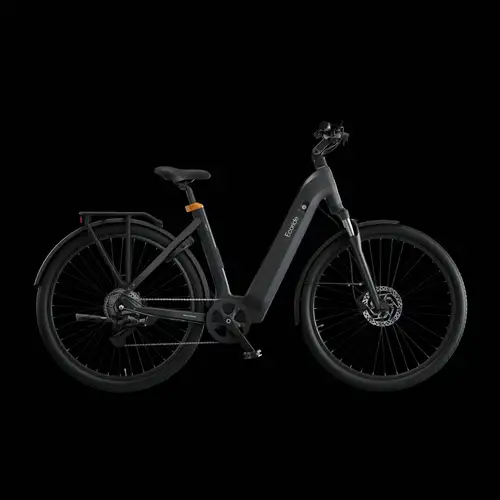 Ecoride Tripper 4 601 | Bakmotor | Lågt insteg
