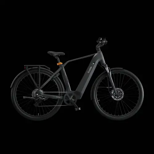 Ecoride Tripper 4 608 | Bakmotor | Högt insteg