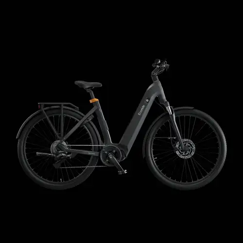 Ecoride Tripper 4 661 | Mittmotor | Lågt insteg