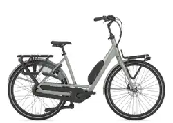 Gazelle Bloom C310