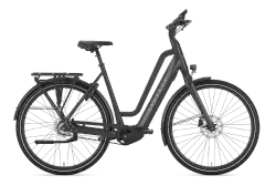 Gazelle Chamonix C5