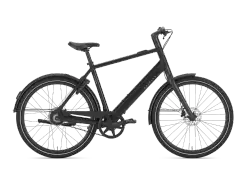 Miniatyr 1