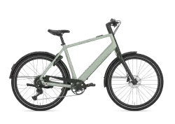 Miniatyr 1