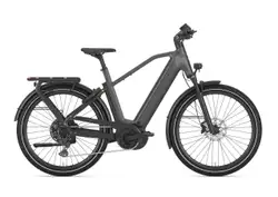Gazelle Eclipse T11