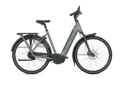 Gazelle Grenoble C310