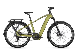 Miniatyr 1